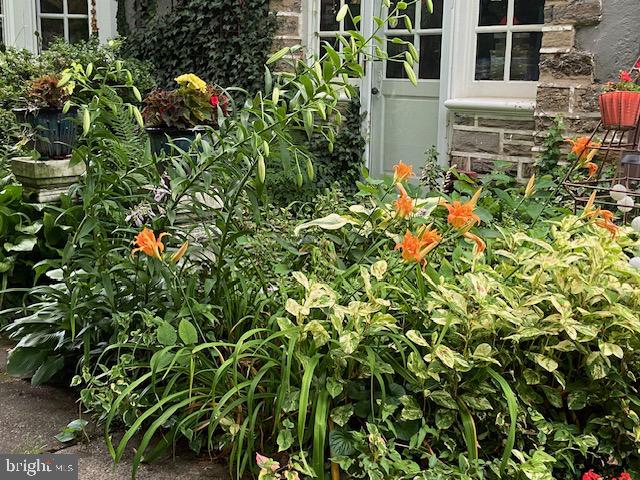 EAST MT AIRY - Residential