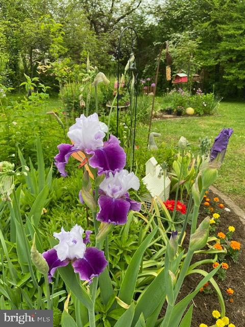 EAST MT AIRY - Residential