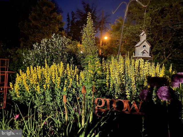 EAST MT AIRY - Residential