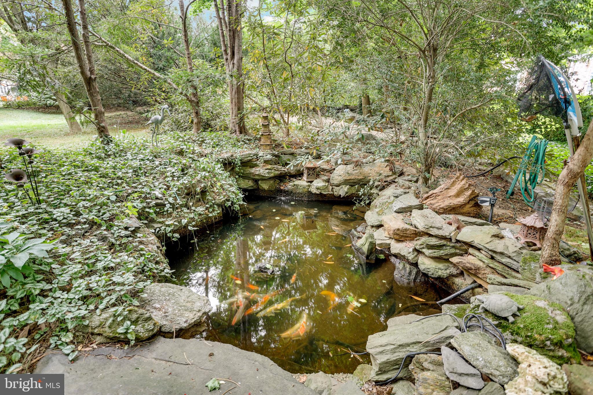 EAST MT AIRY - Residential