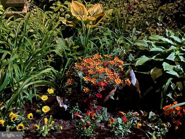 EAST MT AIRY - Residential