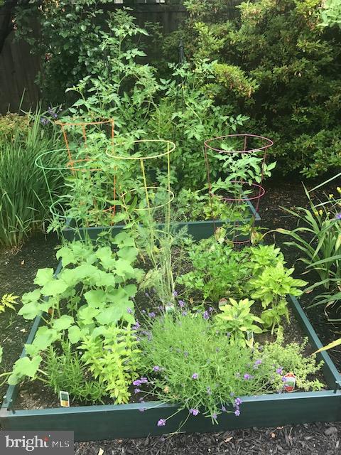 EAST MT AIRY - Residential