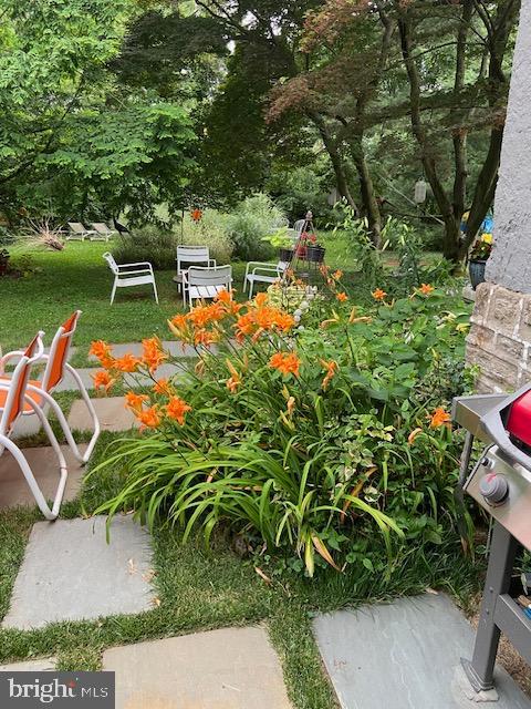 EAST MT AIRY - Residential