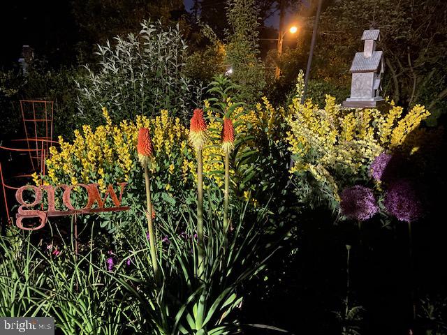 EAST MT AIRY - Residential