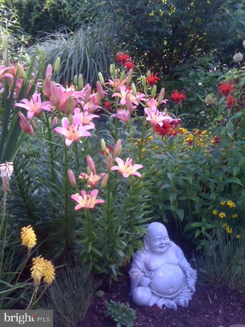 EAST MT AIRY - Residential