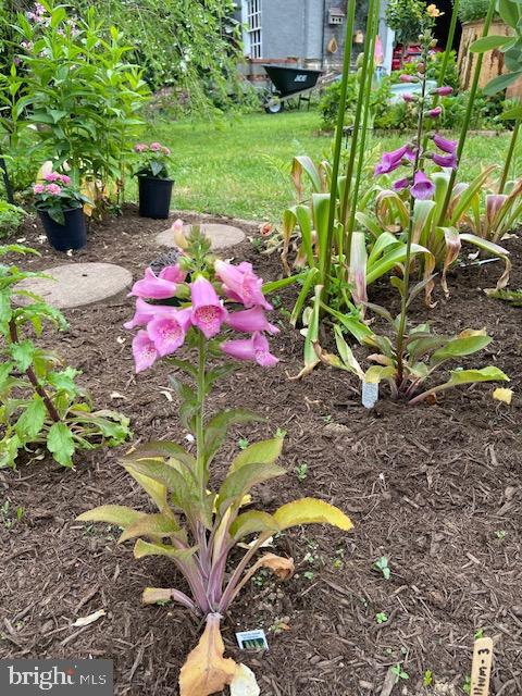 EAST MT AIRY - Residential