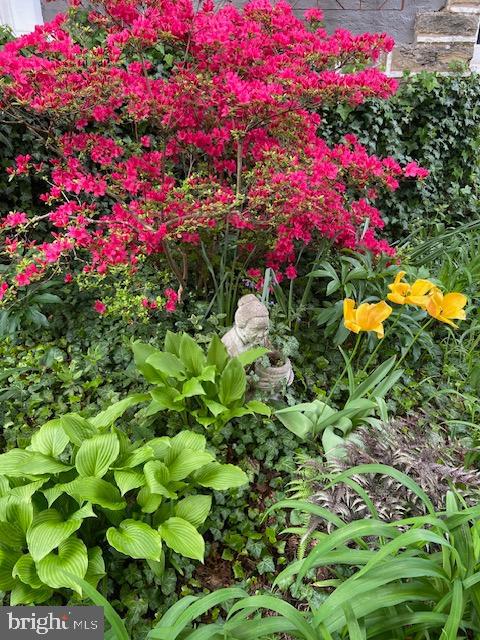 EAST MT AIRY - Residential