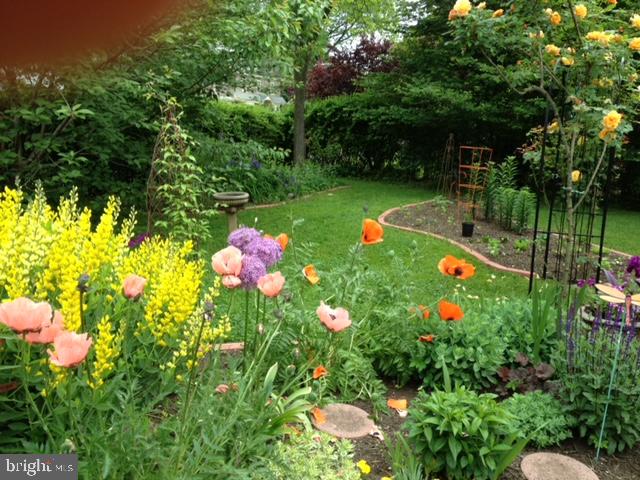 EAST MT AIRY - Residential