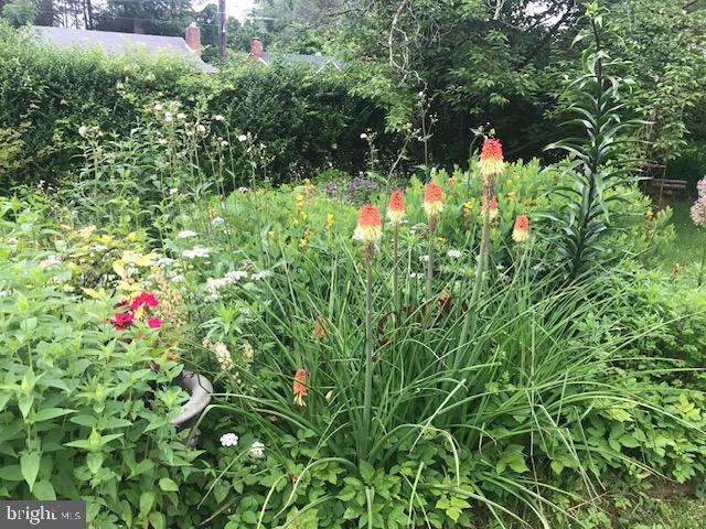 EAST MT AIRY - Residential