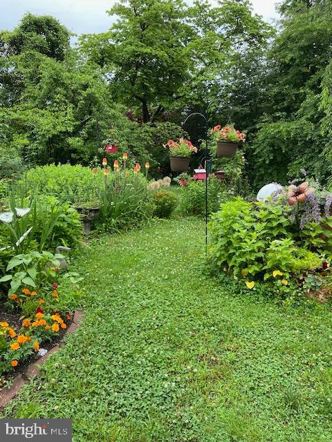 EAST MT AIRY - Residential