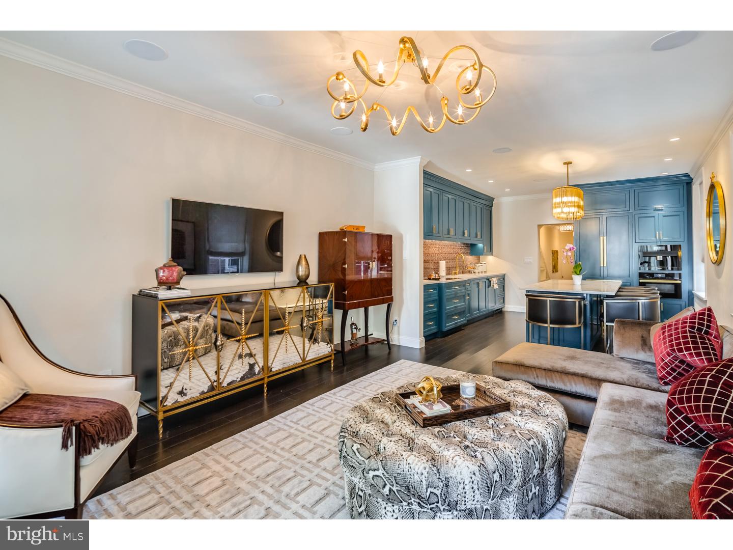 SOCIETY HILL - Residential
