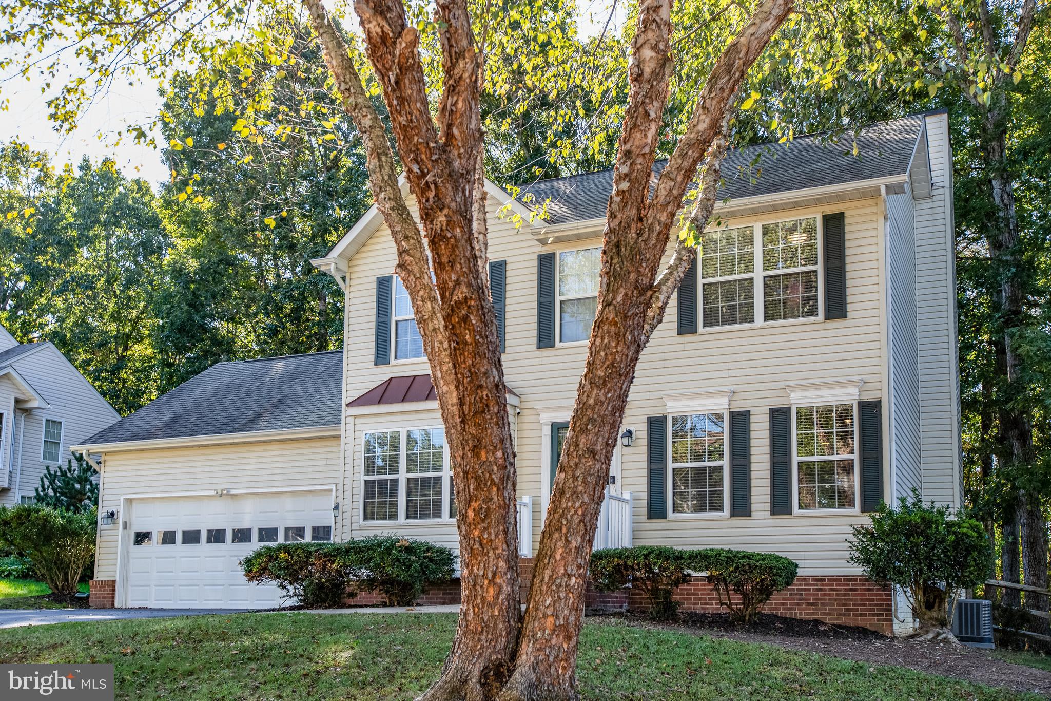 SMOKETREE - Residential