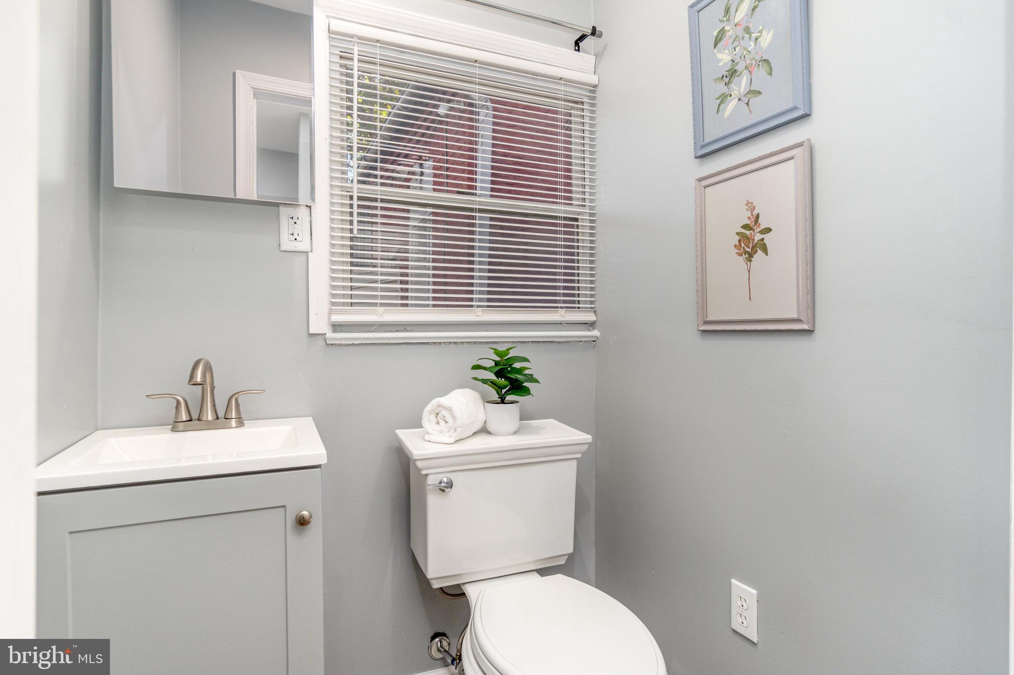 CHESTNUT HILL - Residential