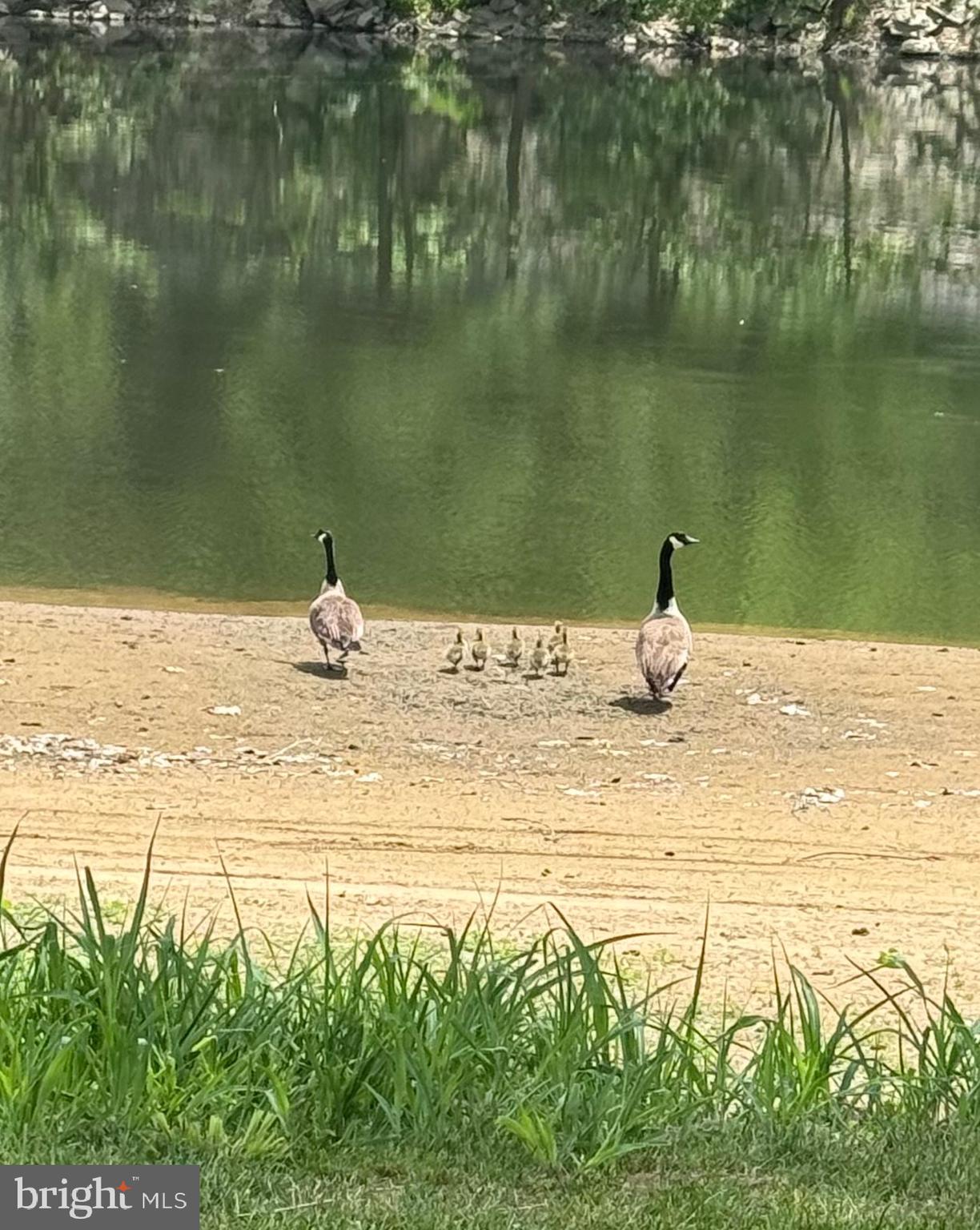 POCA BELLA FARM - Residential Lease