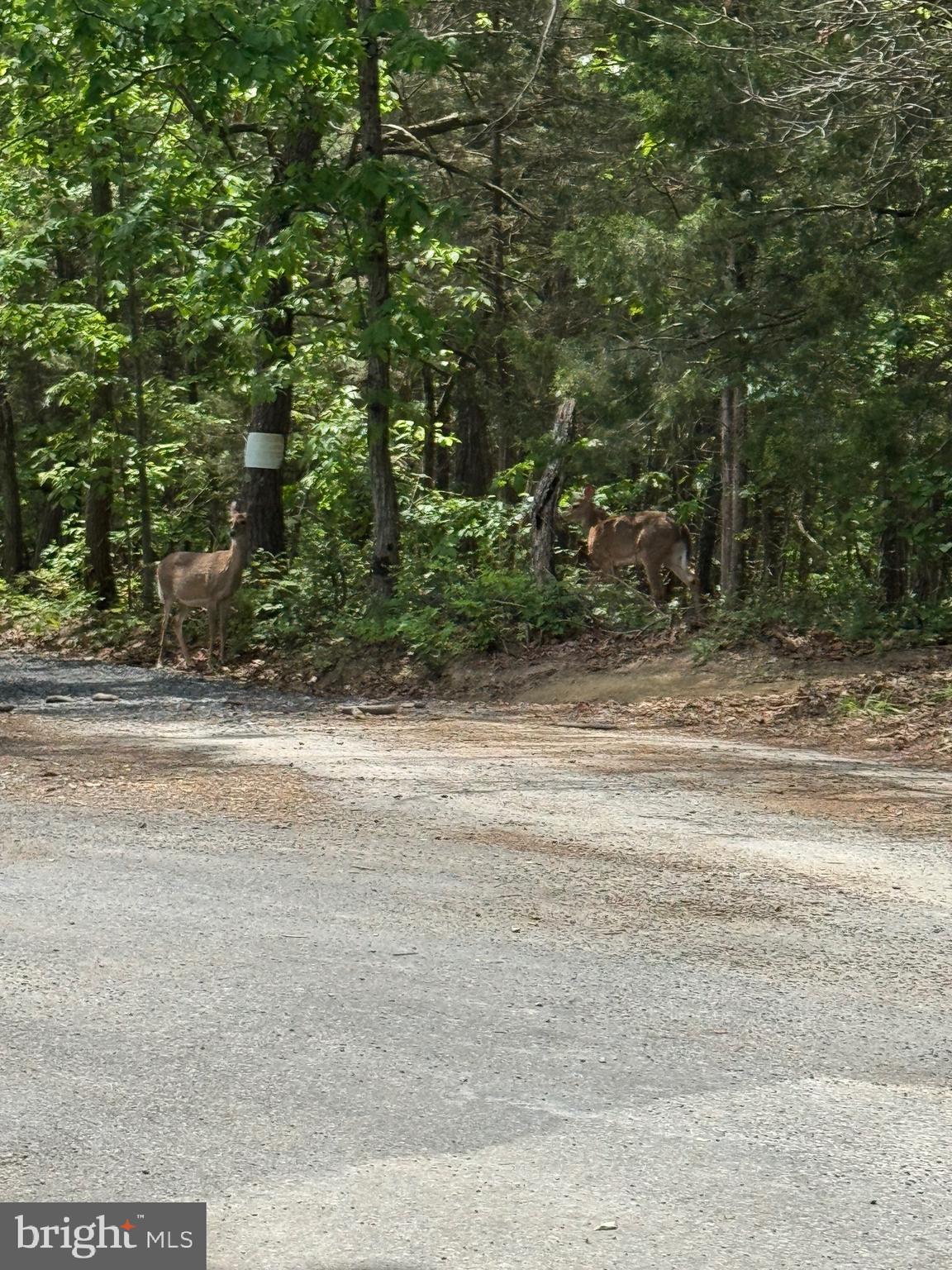 POCA BELLA FARM - Residential Lease