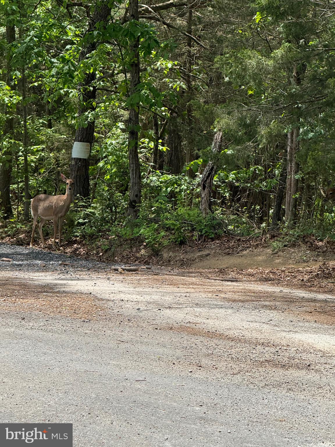 POCA BELLA FARM - Residential Lease