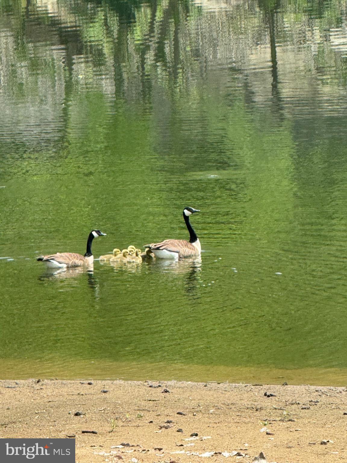 POCA BELLA FARM - Residential Lease