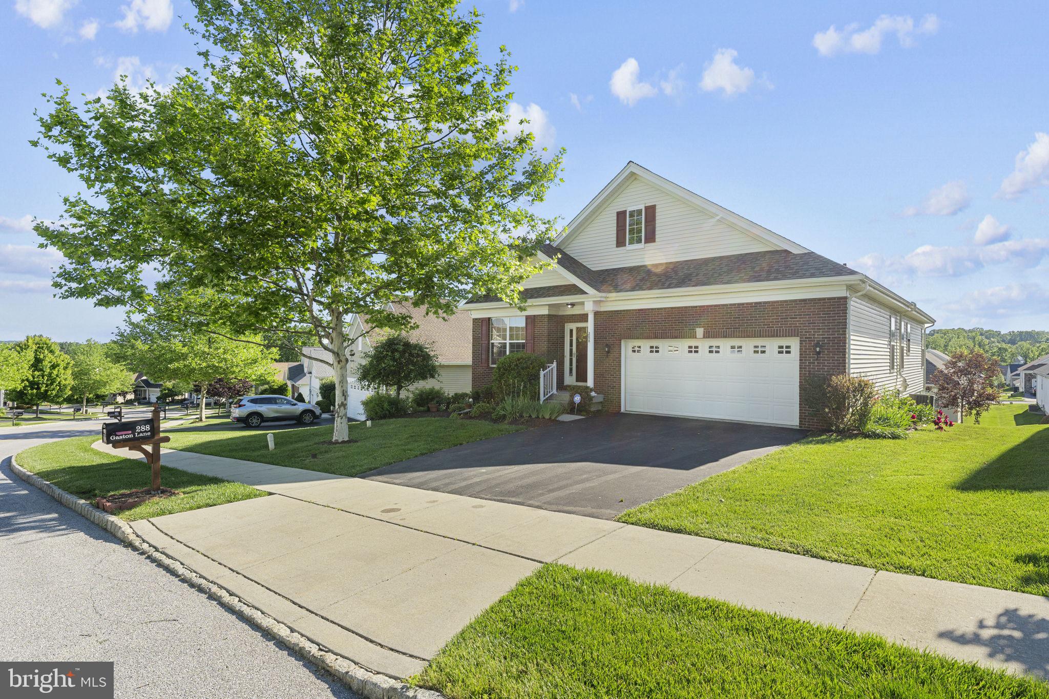 288 GASTON LANE