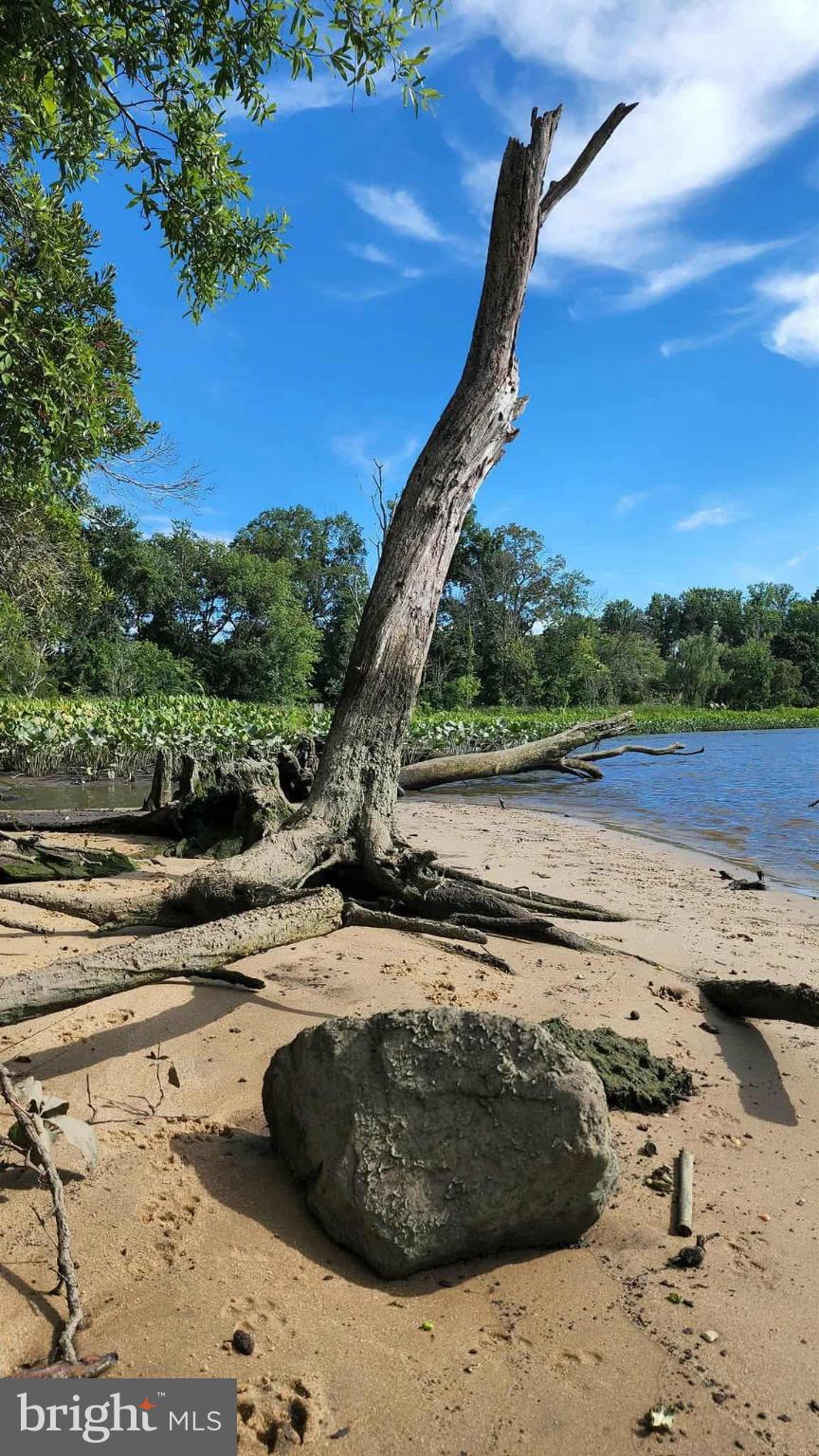 FOREST LANDING - Residential