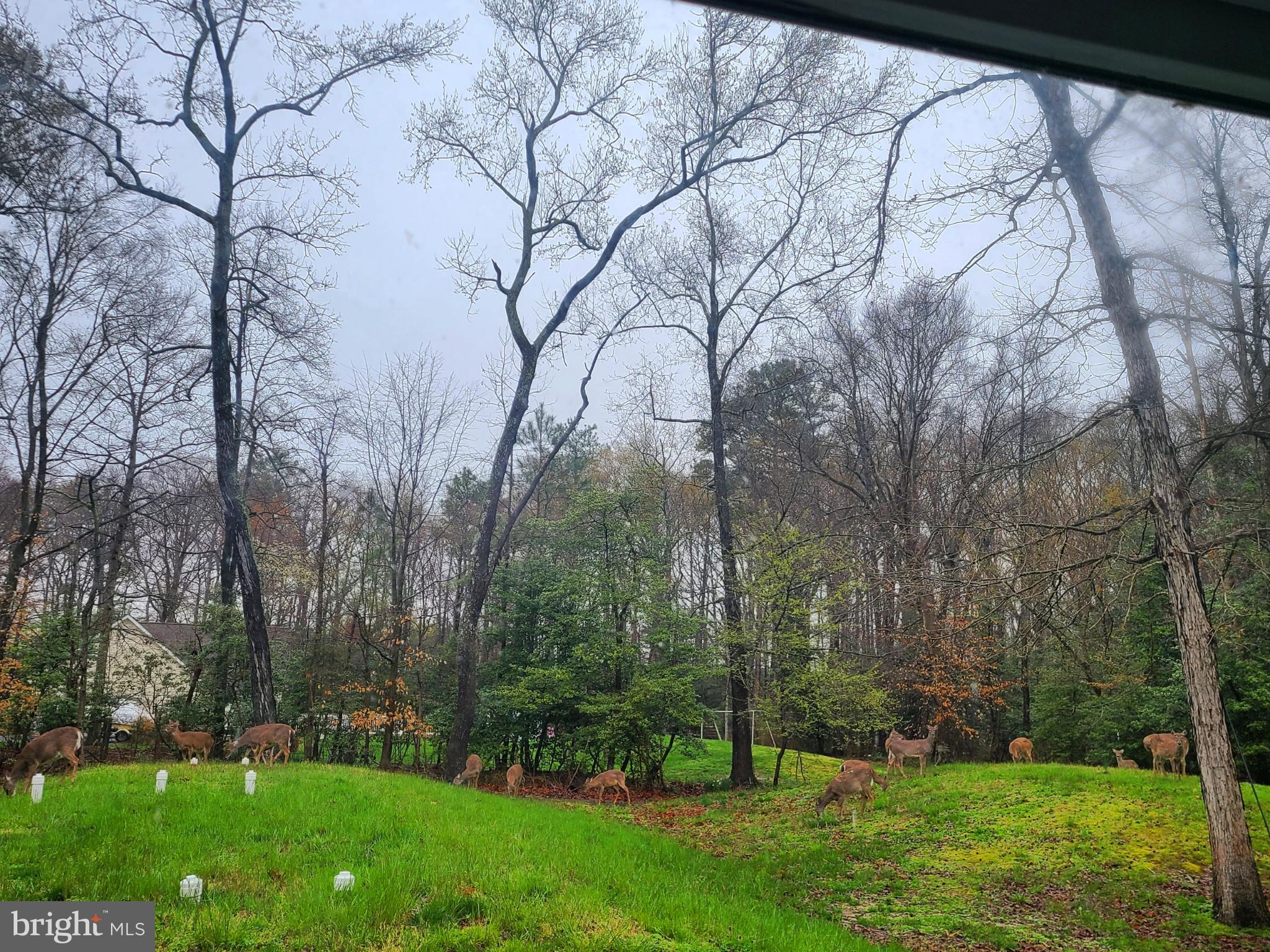 FOREST LANDING - Residential