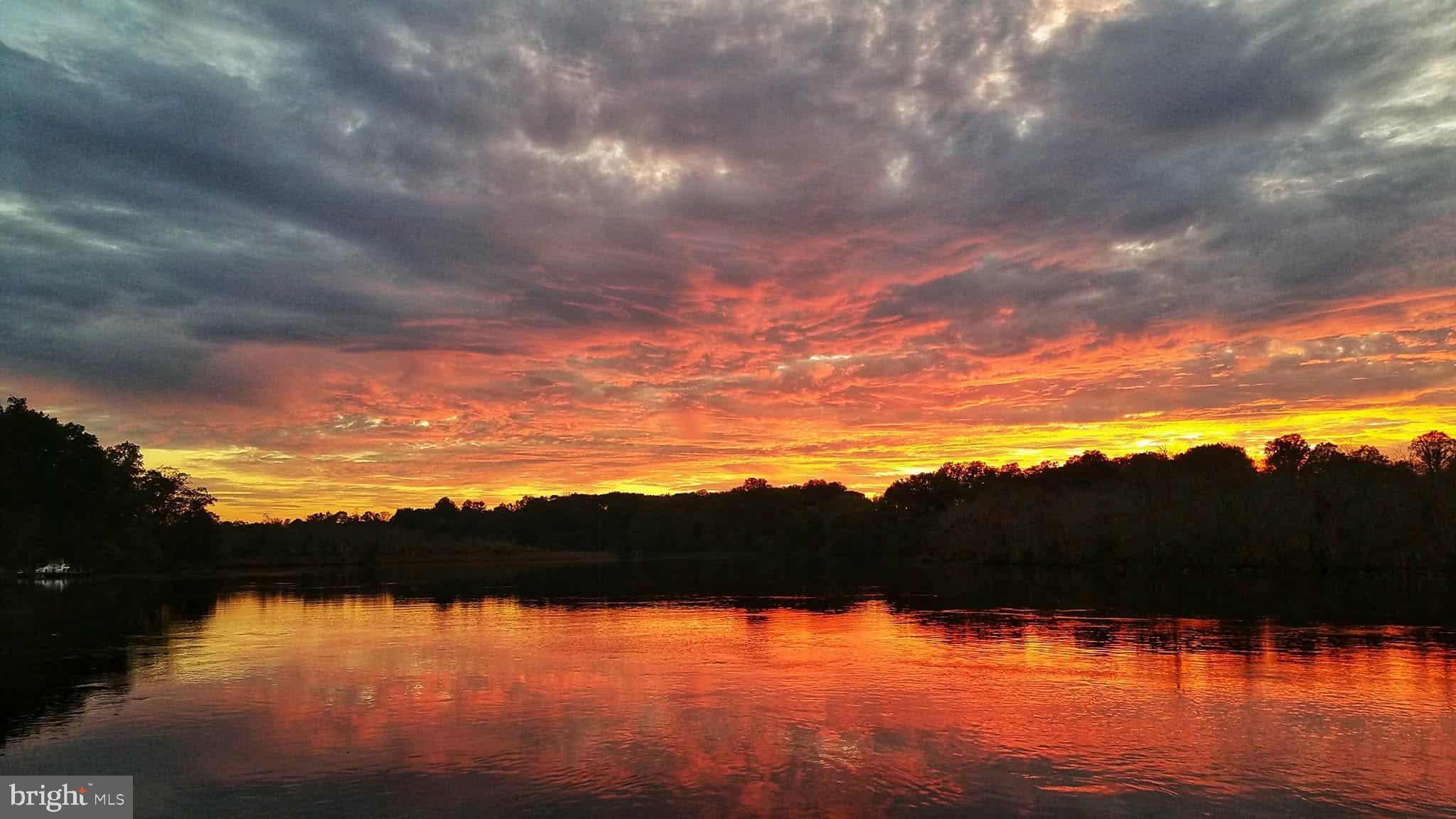 FOREST LANDING - Residential