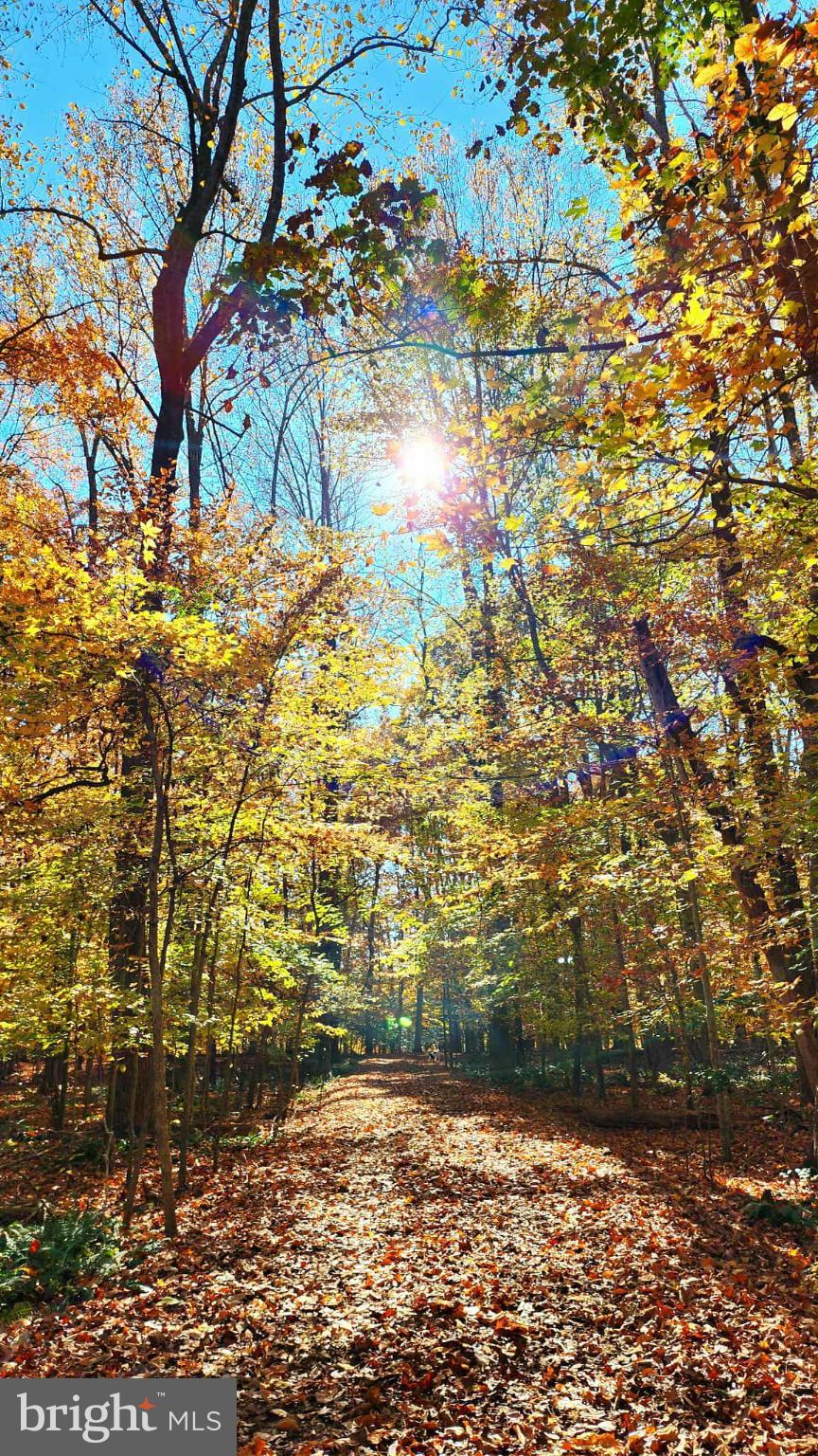 FOREST LANDING - Residential