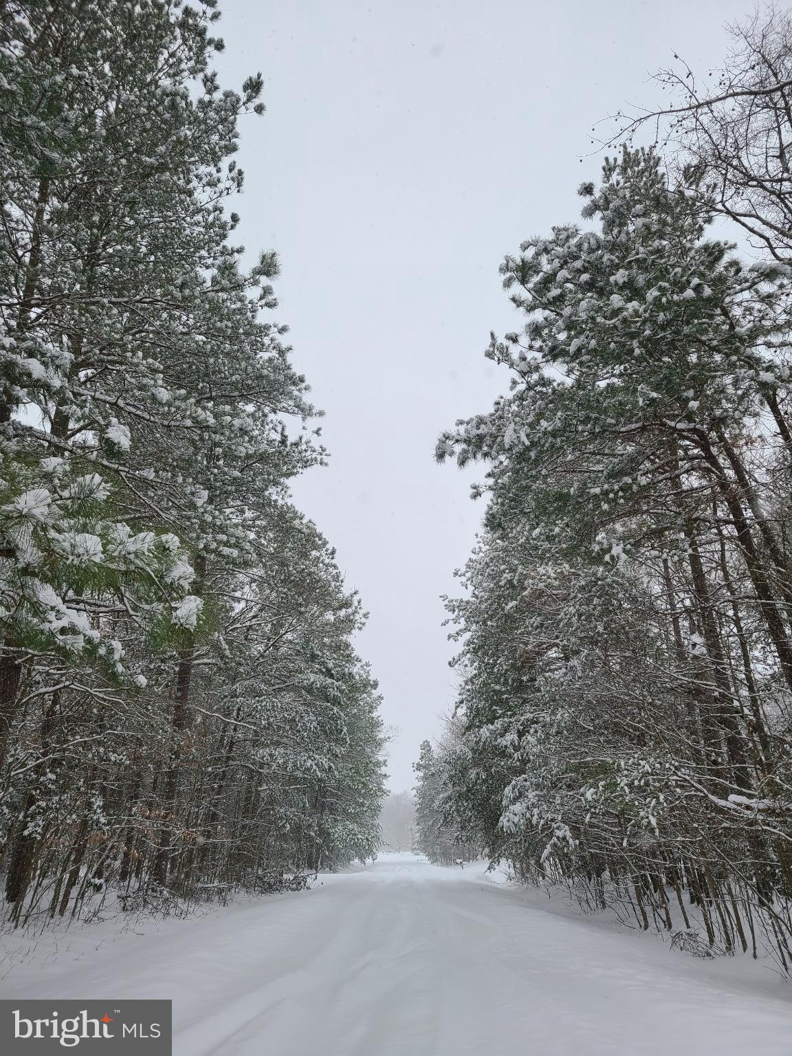 FOREST LANDING - Residential