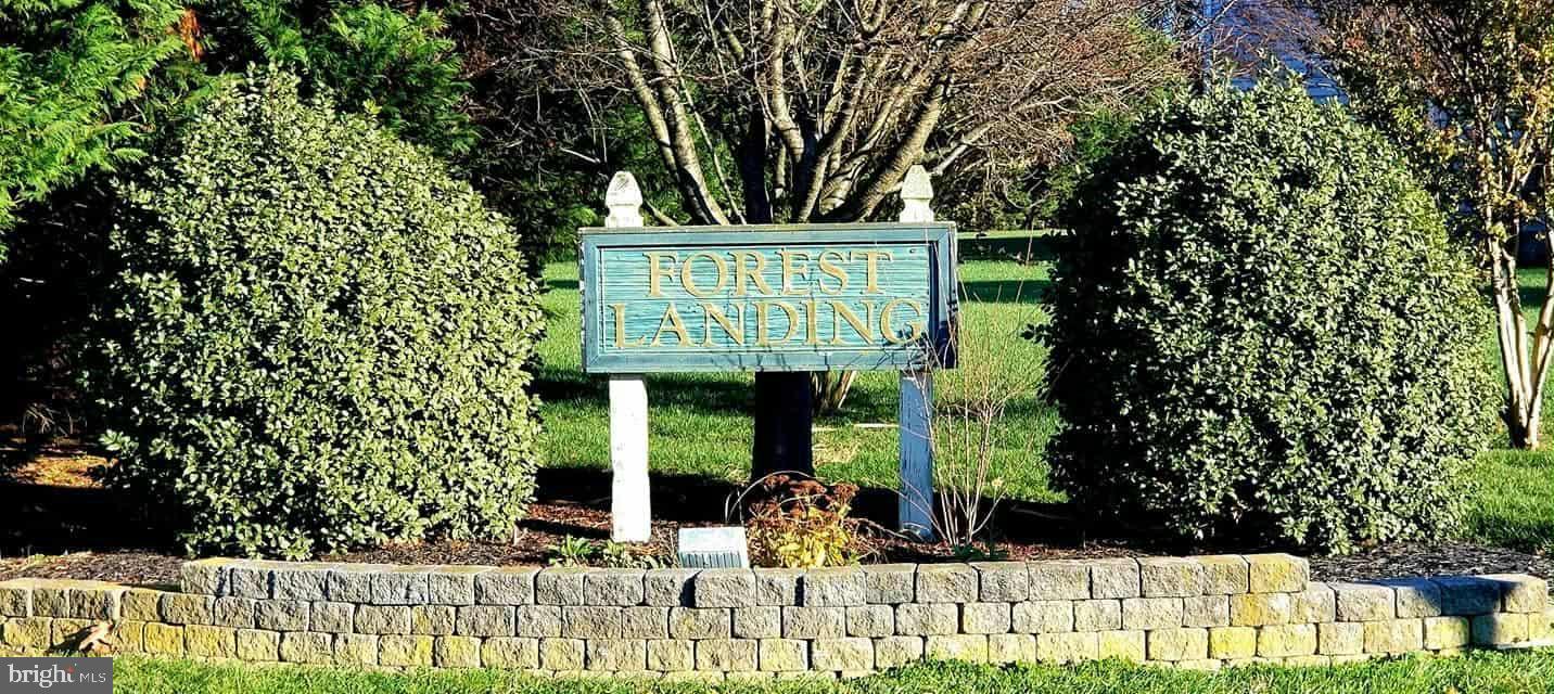 FOREST LANDING - Residential