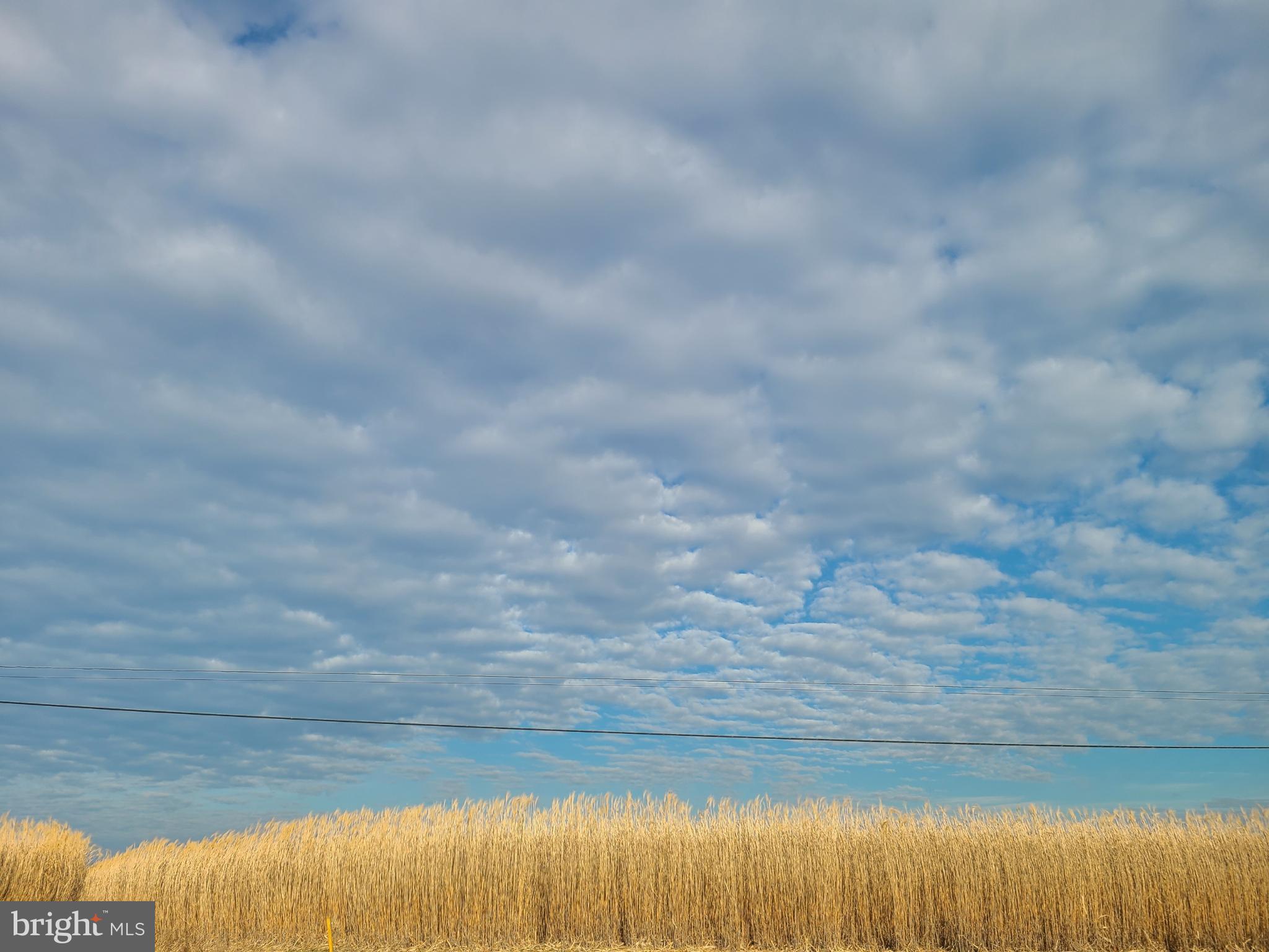 FOREST LANDING - Residential
