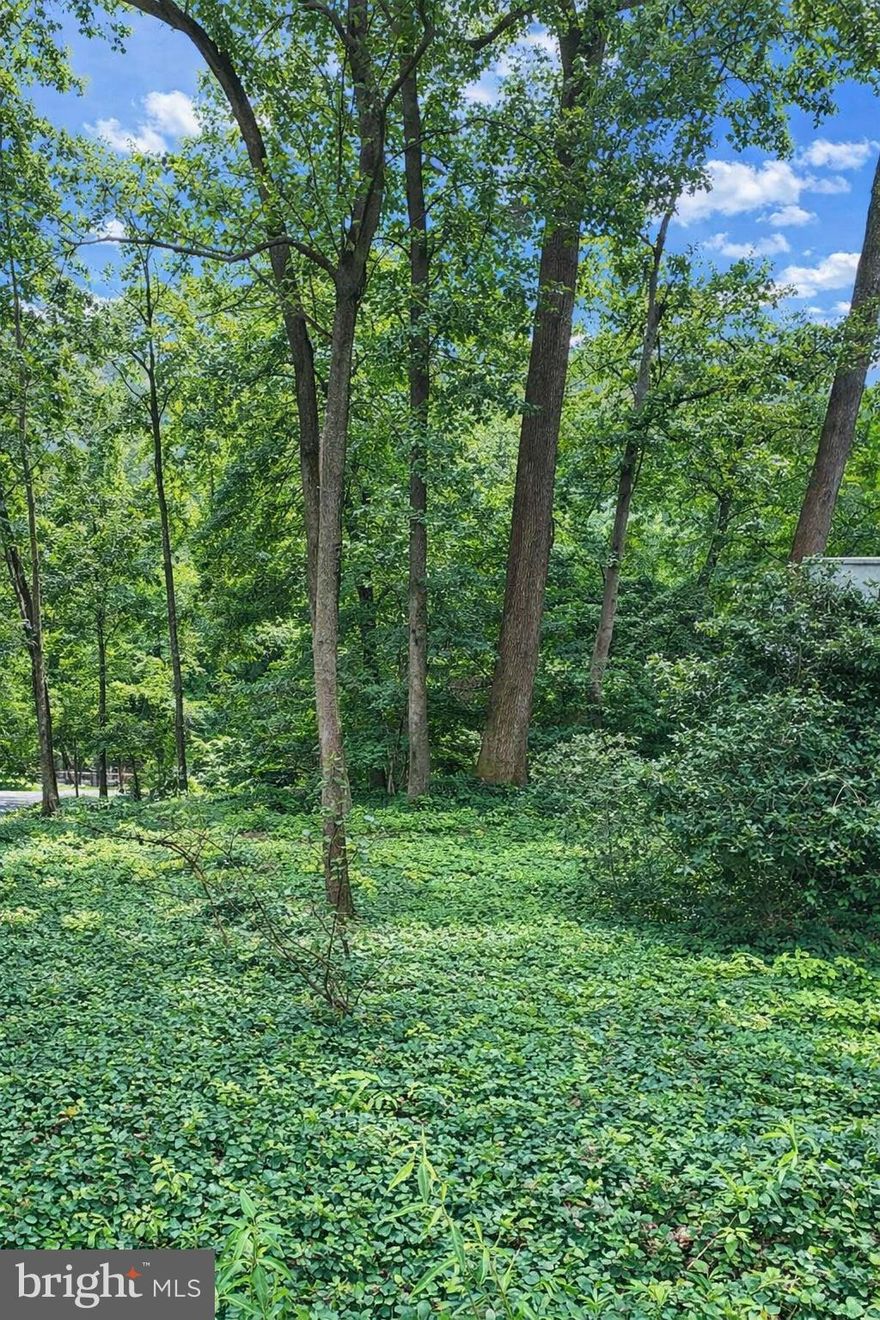 Must be purchased with 911 Sligo Creek Pkwy (adjacent lot), which is listed for sale for $500,000

🌳✨ Vacant Lot on Scenic Sligo Creek Parkway – Takoma Park, MD ✨🌳
Overview

Discover a rare land opportunity in Takoma Park, Maryland! 🌟 This 6,507 sq ft lot sits along the iconic Sligo Creek Parkway — one of Montgomery County’s most picturesque and desirable corridors. With park-like surroundings, mature trees, and direct access to Sligo Creek Trail, this property offers the perfect blend of nature, convenience, and community living. 🌿🚴‍♀️

📍 Location, Location, Location!

🌳 Sligo Creek Park & Trail at your doorstep — miles of walking, biking, and running trails that wind through woodlands and connect to regional parks.

🚆 Minutes to Takoma Metro (Red Line) and Silver Spring Transit Center for quick access into Washington, D.C.

🛍️ Close to downtown Silver Spring & Takoma Park — with award-winning restaurants, coffee shops, boutiques, live music venues, and a famous farmers market.

🏫 Served by highly regarded Montgomery County Public Schools including Piney Branch Elementary, Takoma Park Middle, and Montgomery Blair High School.

🖼️ Enjoy Takoma Park’s vibrant arts scene, festivals, and community events, all while living in a quiet, tree-lined setting.

🌟 Property Highlights

Lot Size: Approx. 6,507 sq ft

Utilities: Public water & sewer available 🚰

Setting: Park-like, wooded lot with a private feel 🌲

Bundle Required: Add the adjacent property at 911 Sligo Creek Parkway for an additional $550,000 - Total $670,000 🏡—create a larger estate-style retreat with unmatched outdoor space!

💡 Why Buyers Love This Area

✅ Scenic & peaceful – live among trees and trails
✅ Urban convenience – minutes to Metro, shops, & dining
✅ Outdoor lifestyle – jog, bike, or walk along Sligo Creek every day
✅ Charming community – Takoma Park’s friendly, artistic, and historic vibe
✅ Rare opportunity – land along Sligo Creek Parkway doesn’t come available often!

🌟 Perfect For

🏡 Buyers who want land ownership in Takoma Park

🌿 Those dreaming of a private green retreat

🔑 Investors looking for rare land opportunities in a high-demand location

🏞️ Homeowners who want to expand their estate by bundling with 911 Sligo Creek Parkway

🔥 Don’t miss this chance to own land along Sligo Creek Parkway — whether as a peaceful retreat, investment, or bundled with the adjacent home for something truly special.