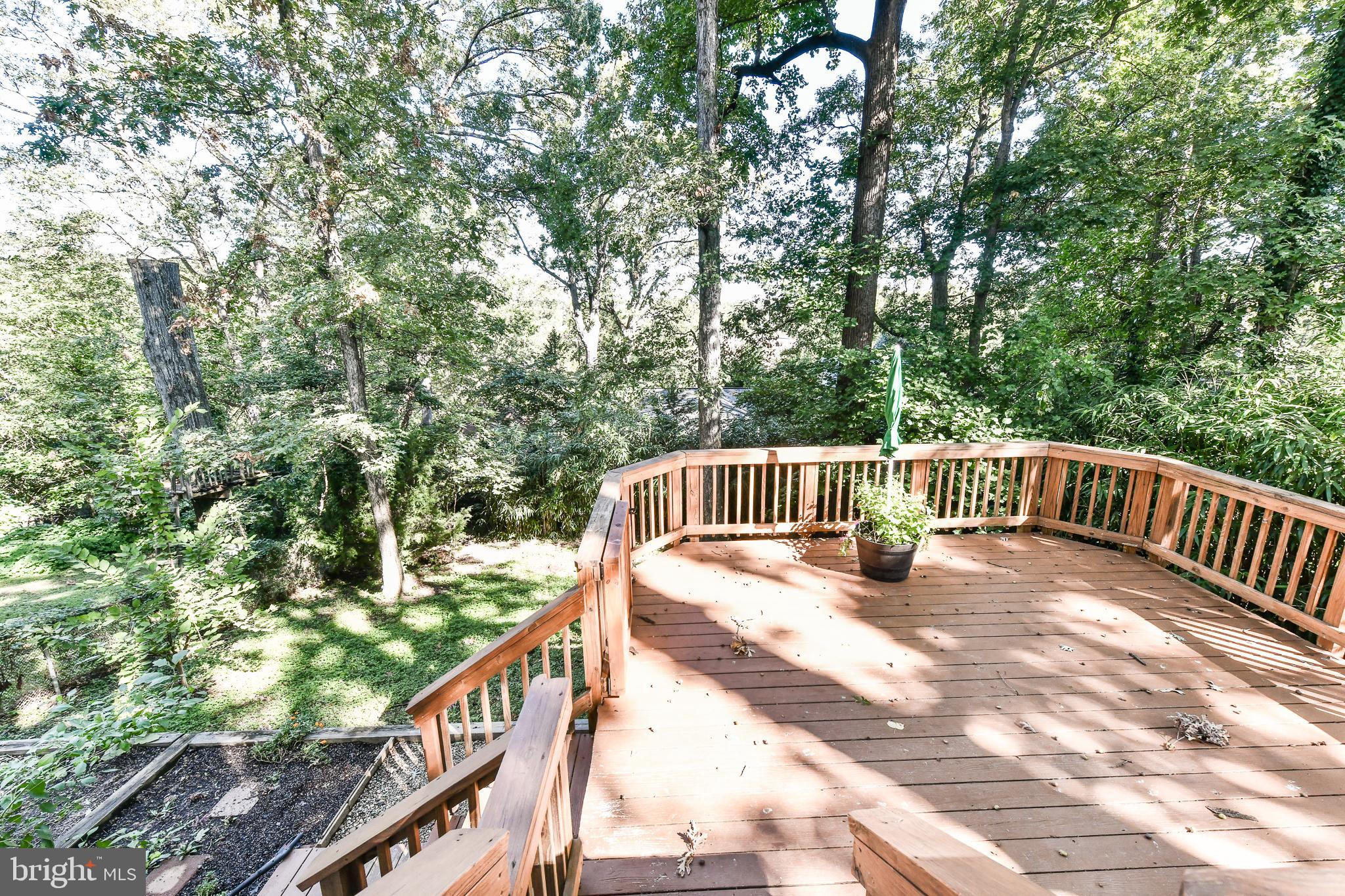 COLUMBIA FOREST - Residential Lease