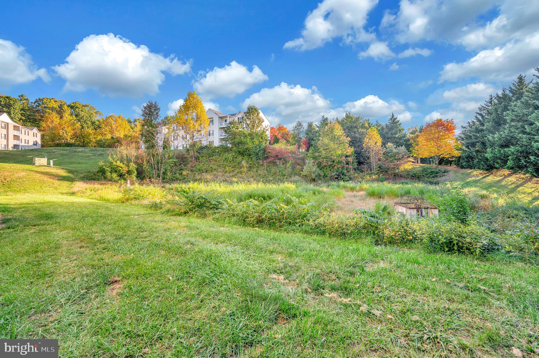 CARRIAGE POINTE AT AQUIA - Residential