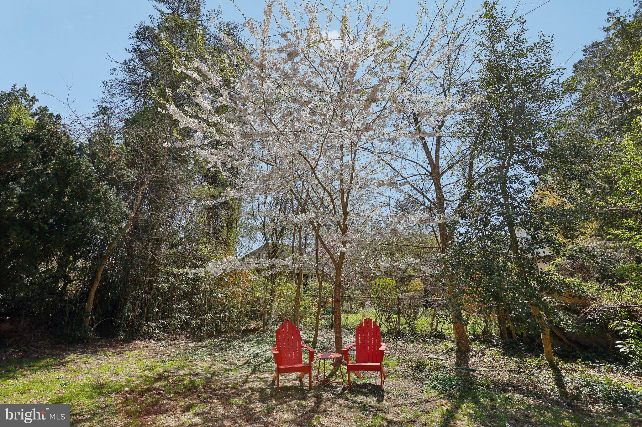 MT AIRY (WEST) - Residential