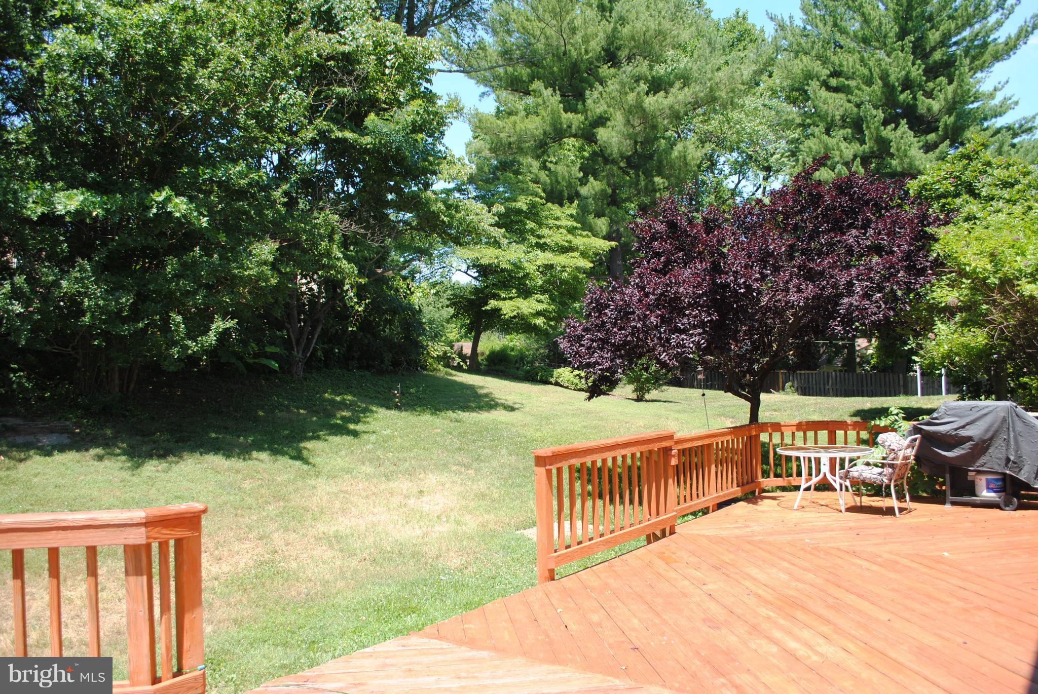 PAINT BRANCH ESTATES - Residential