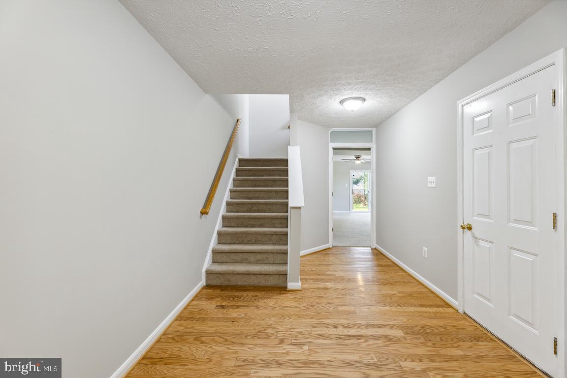 BELMONT STATION - Residential