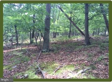 DEVELOPER SPECIAL - 15.27 +/- ACRES FRONTING ON RT. 220 READY TO SUBDIVIDE AND/OR BUILD ON. FULLY WOODED WITH SOME MARKETABLE TIMBER. 1,844 FEET OF ROAD FRONTAGE ON RT. 220. LOW WV TAXES! UNRESTRICTED OR 4 ACRE TRACTS @ $39,500.