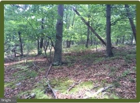 Vacant Land For Sale - Off Rt. 220/cut Off<br/> KEYSER, WV 26726