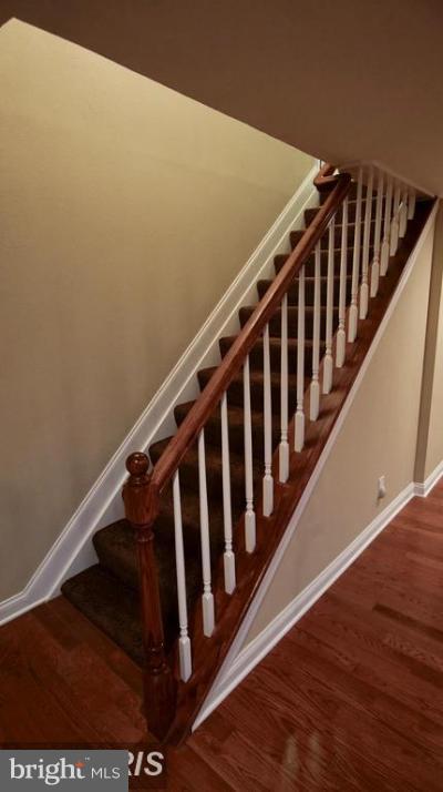 RUXTON - Residential Lease