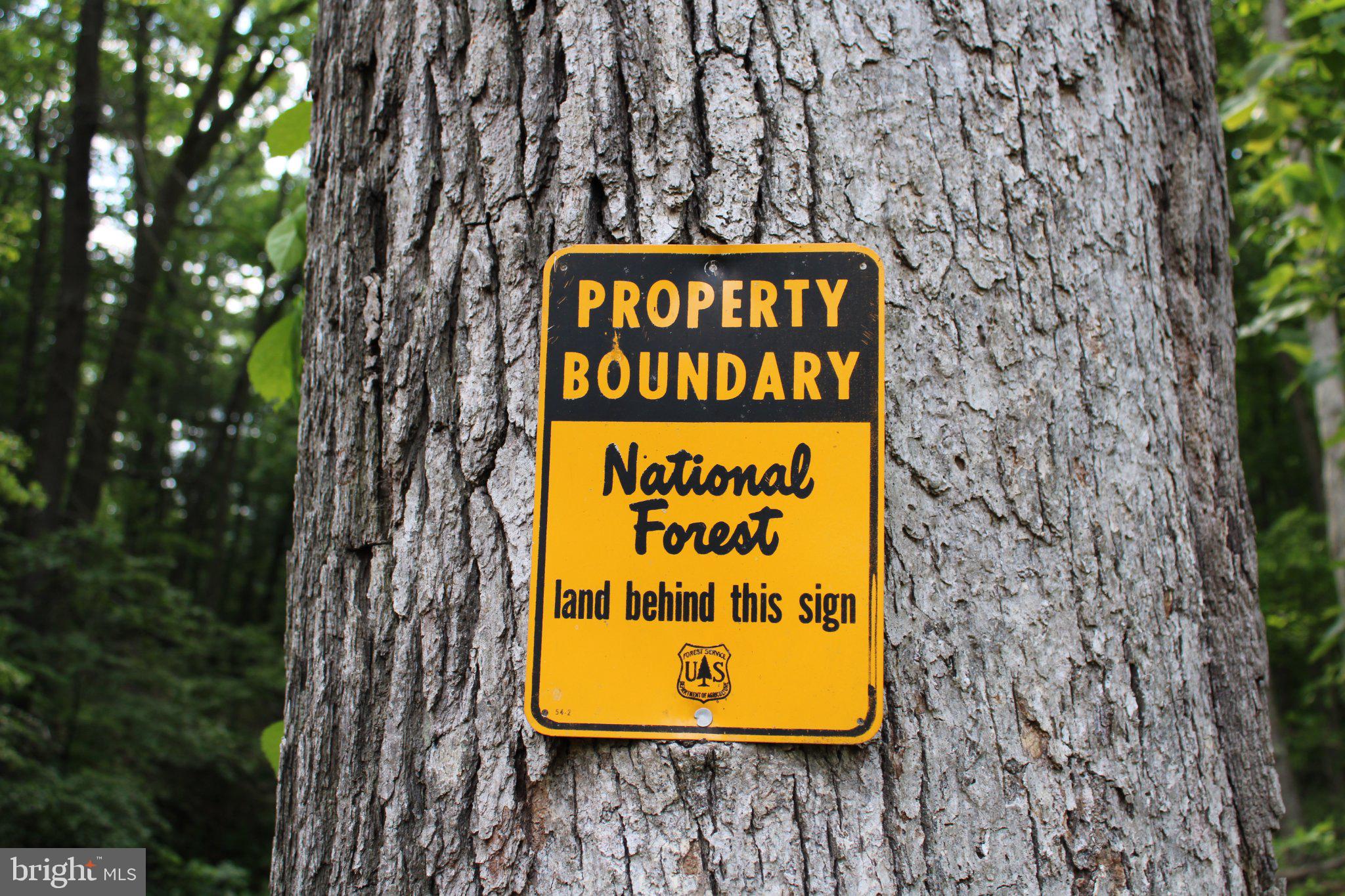 686.10 ACRES THORNE BOTTOM ROAD