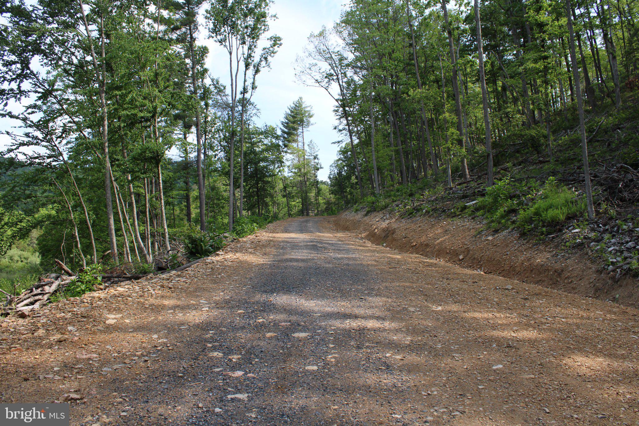 686.10 ACRES THORNE BOTTOM ROAD