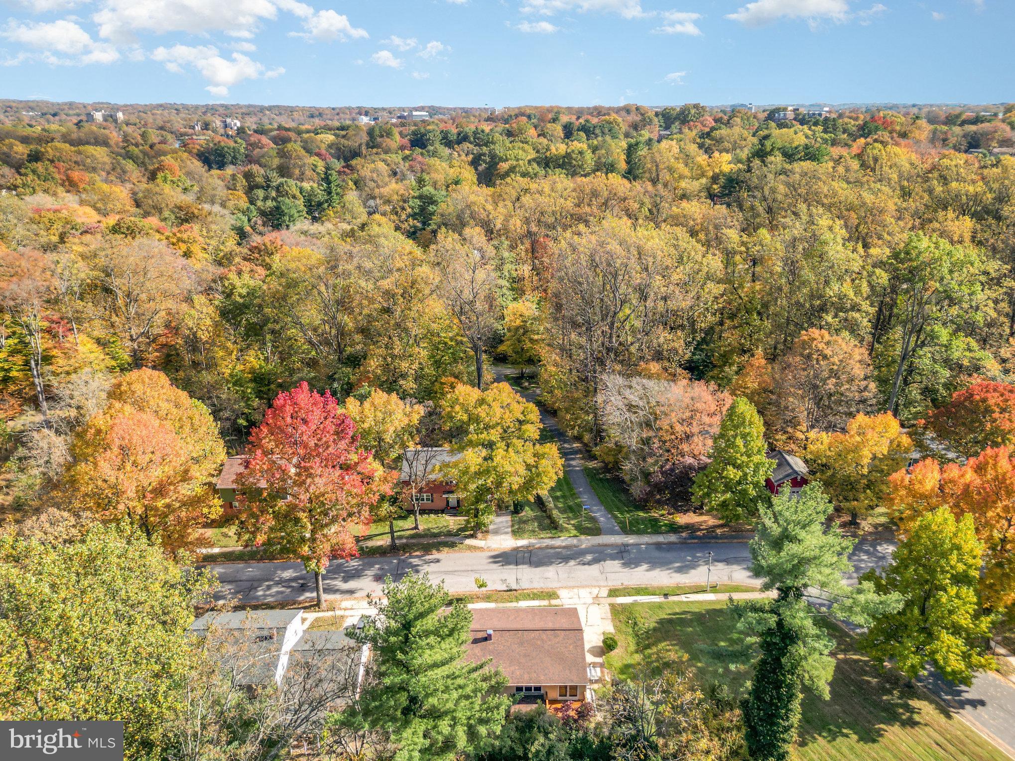 LONGFELLOW - Residential