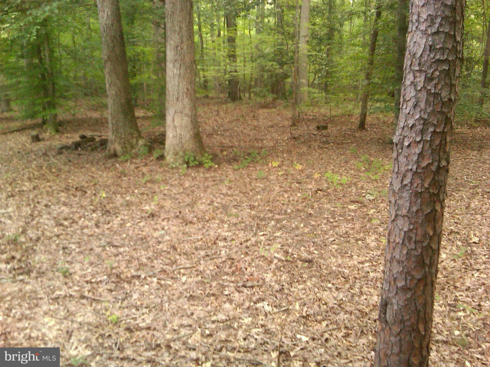 NORTH ACCOKEEK - Residential Lease