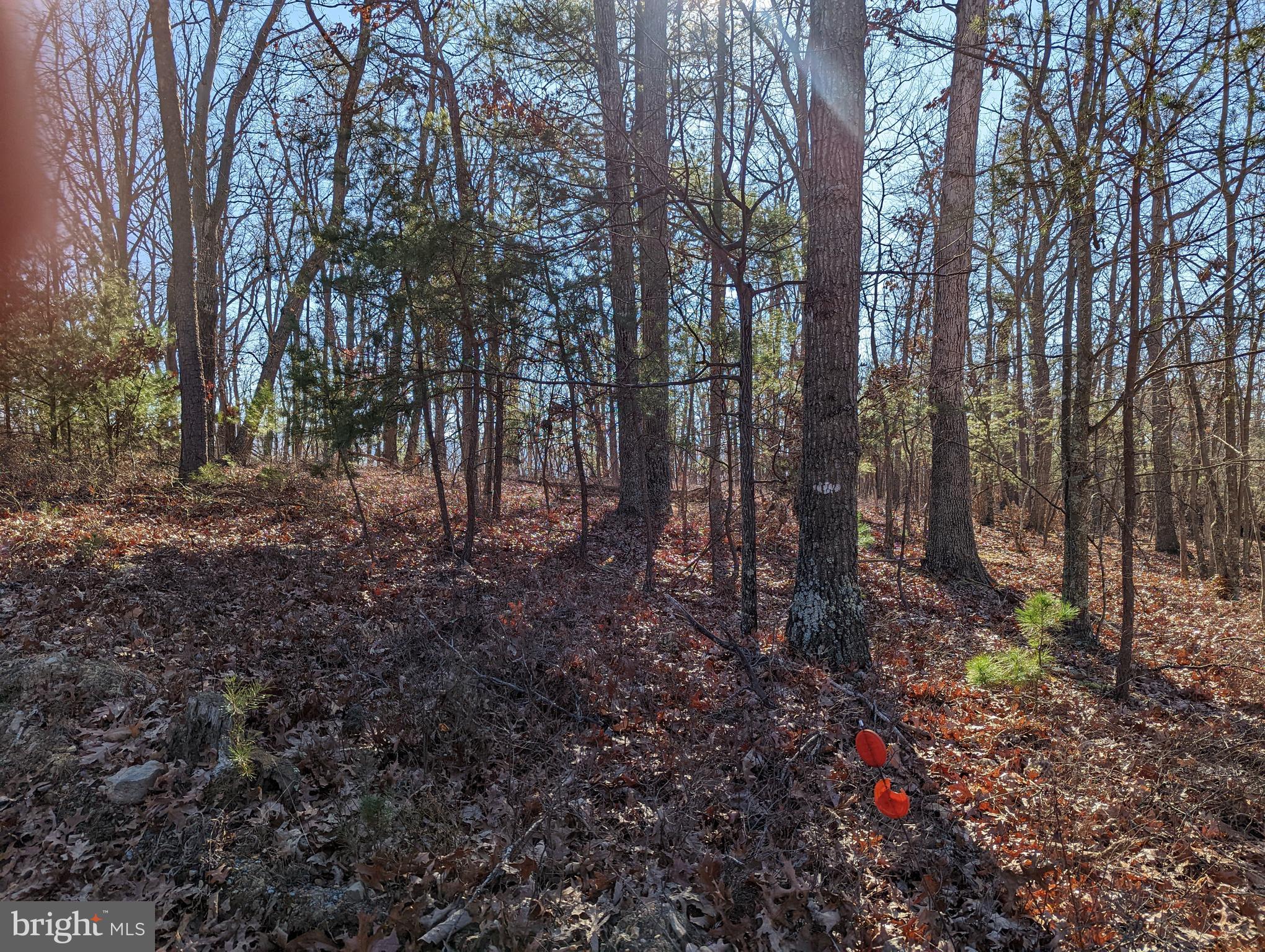 RIO GRANDE - Residential