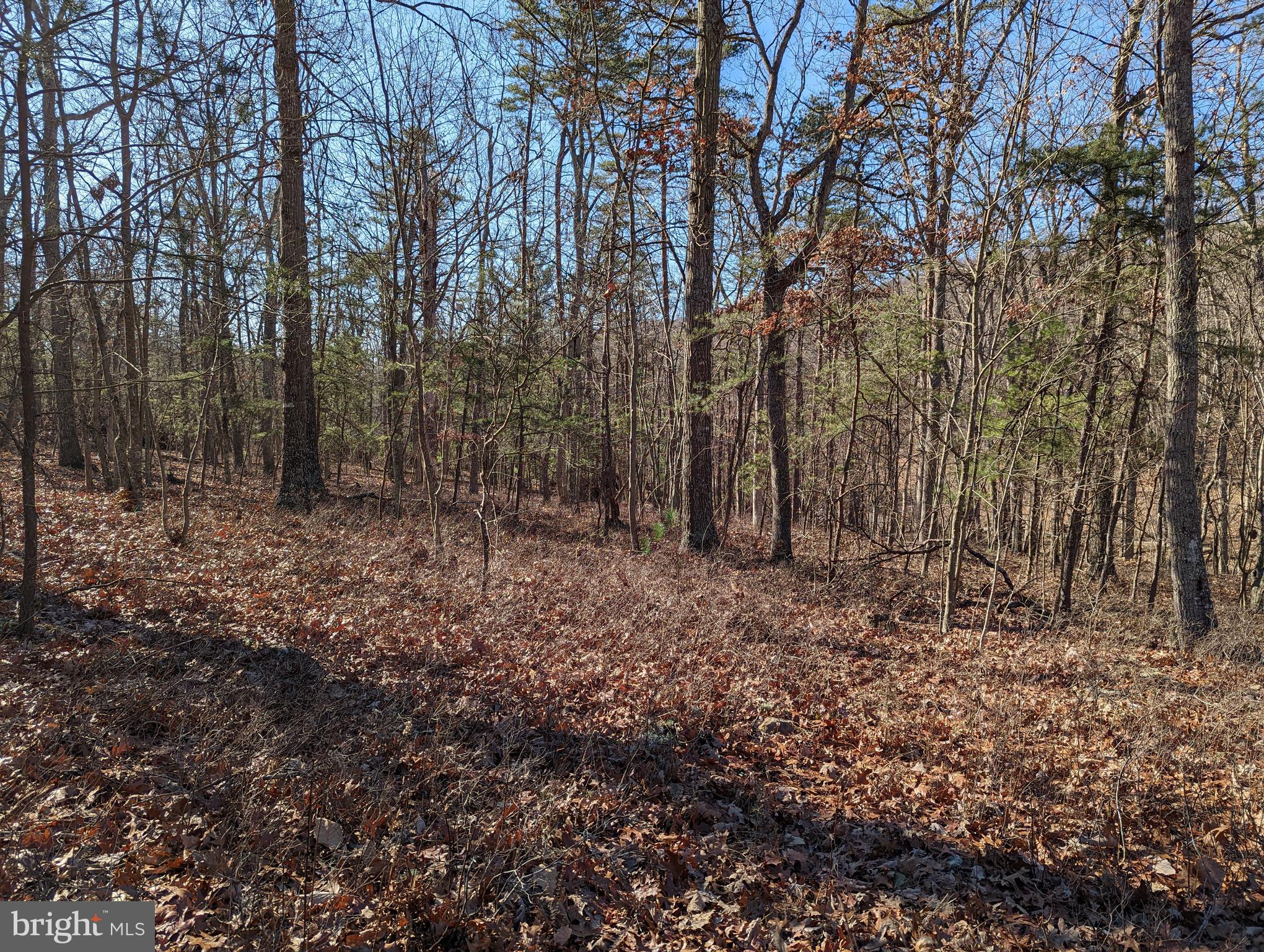 RIO GRANDE - Residential