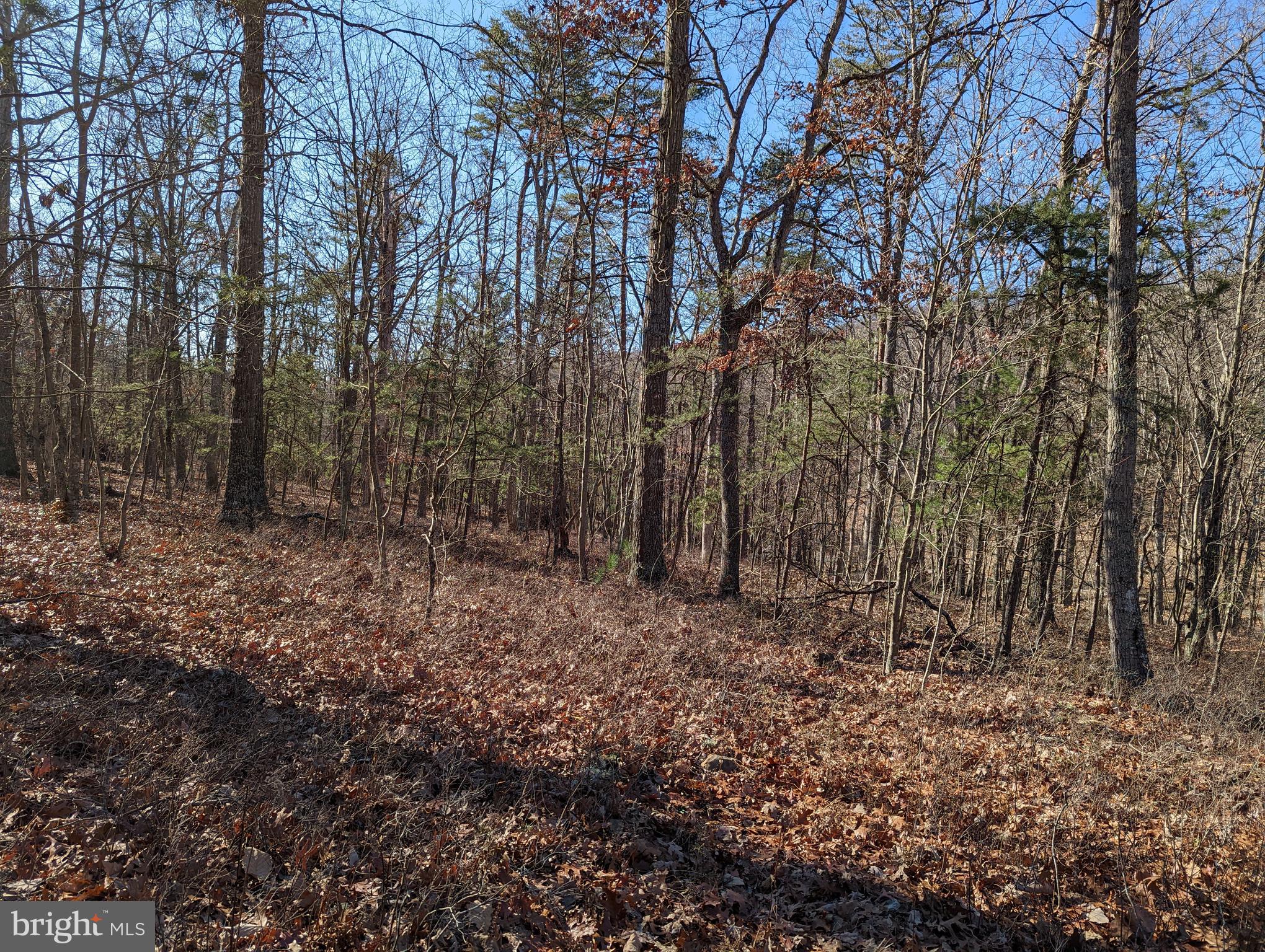 RIO GRANDE - Residential