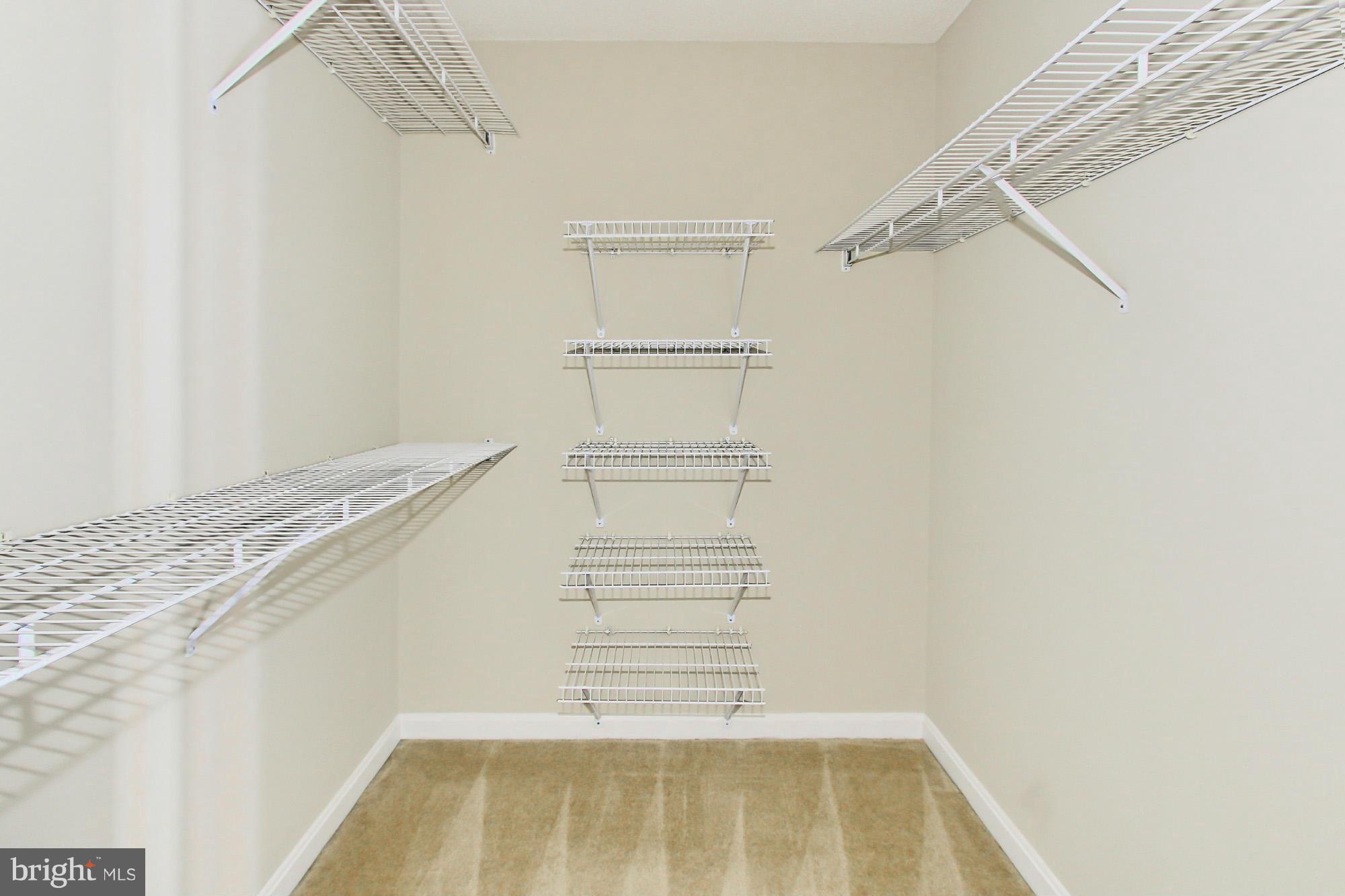 CARLYLE TOWERS - Residential