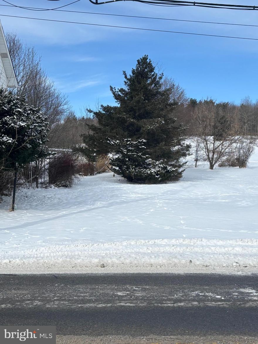 A pristine 0.23-acre lot offering exceptional potential. This flat and clean property is equipped with access to public water and sewer, making it a prime opportunity for various building options. Whether you're envisioning a custom home or an investment project, this lot provides the ideal foundation to bring your plans to life.