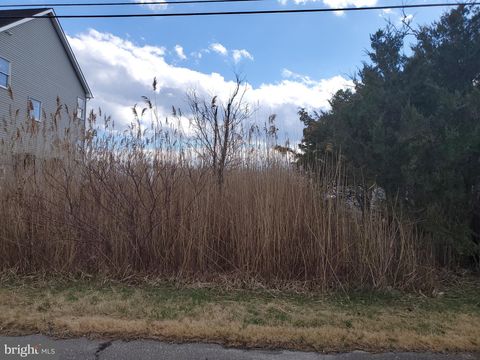 Vacant Land For Sale - Main Street<br/> Ocean County, BAYVILLE, NJ 08721