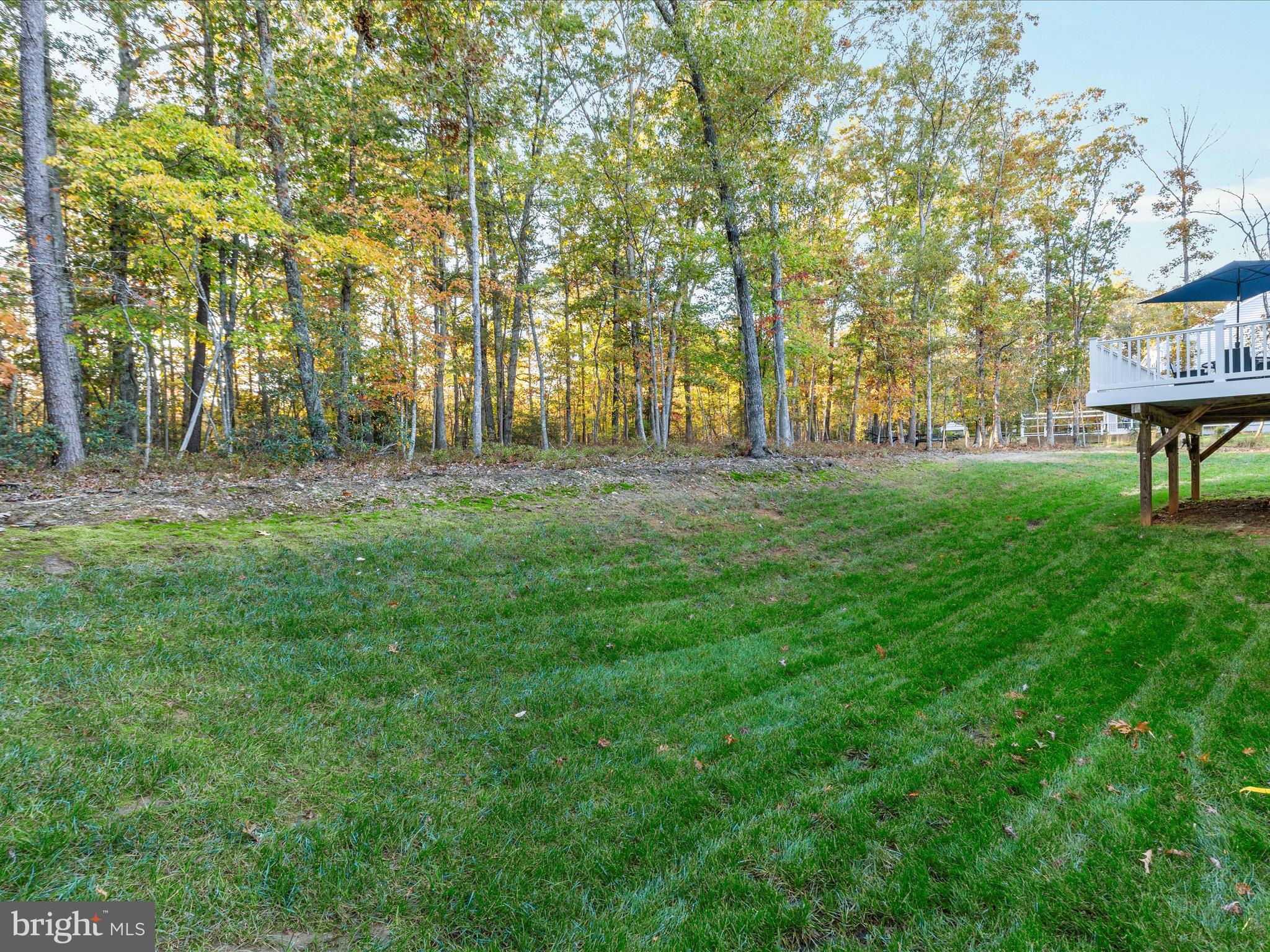 ESTATES OF CHANCELLORSVILLE - Residential