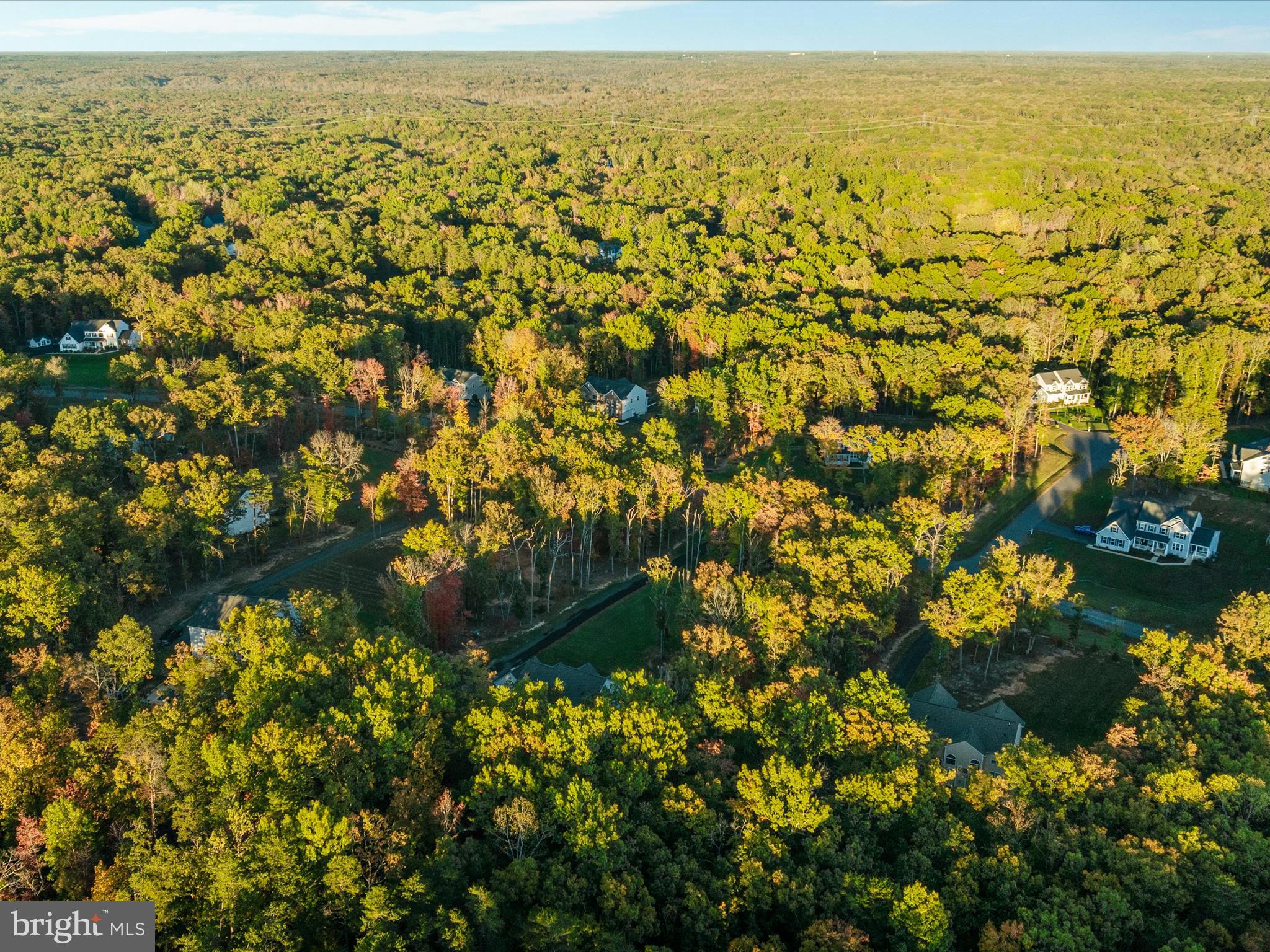 ESTATES OF CHANCELLORSVILLE - Residential